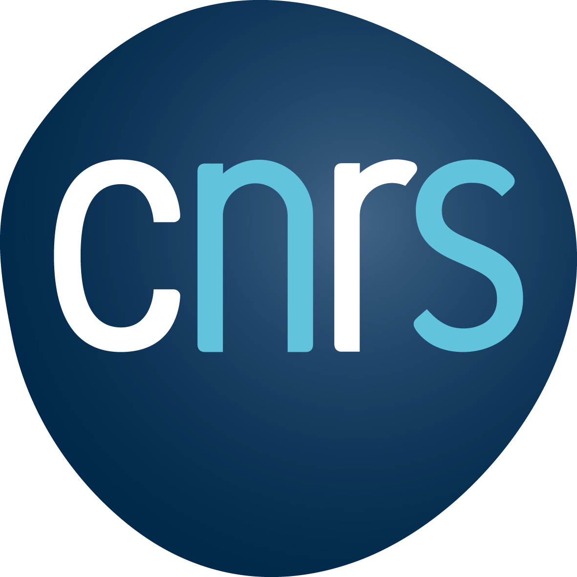 Logo cnrs