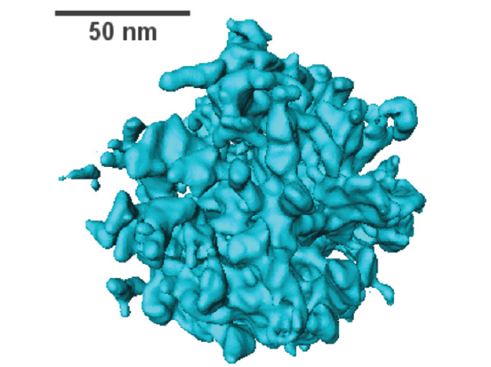 Reconstruction 3D d’un agrégat de cobalt (réduit) obtenu par tomographie électronique.