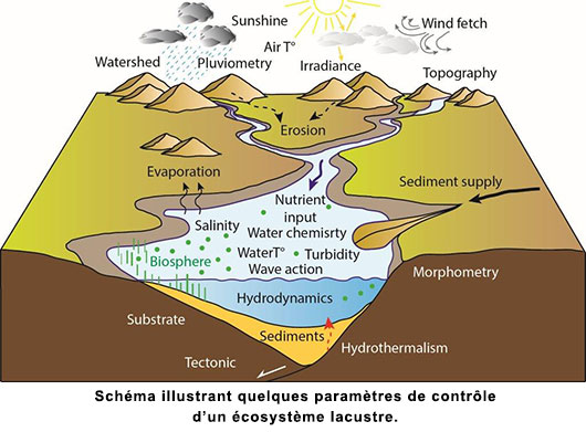 Science 35