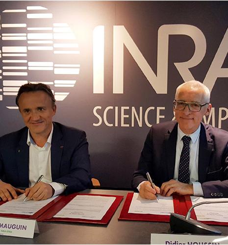Bioeconomics, biotechnologies, soils:  three priorities central to the collaboration between Inra and IFPEN