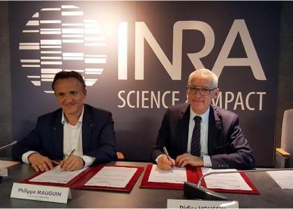 Bioeconomics, biotechnologies, soils:  three priorities central to the collaboration between Inra and IFPEN